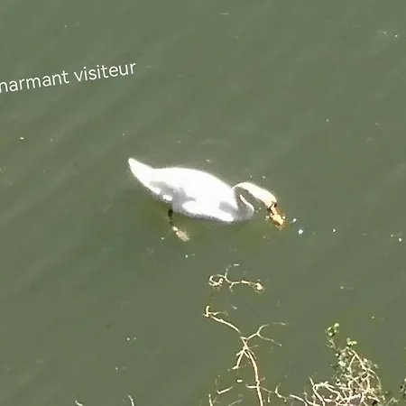 Ferienhaus La Planque De L'eclusier Castelnau-de-Lévis
