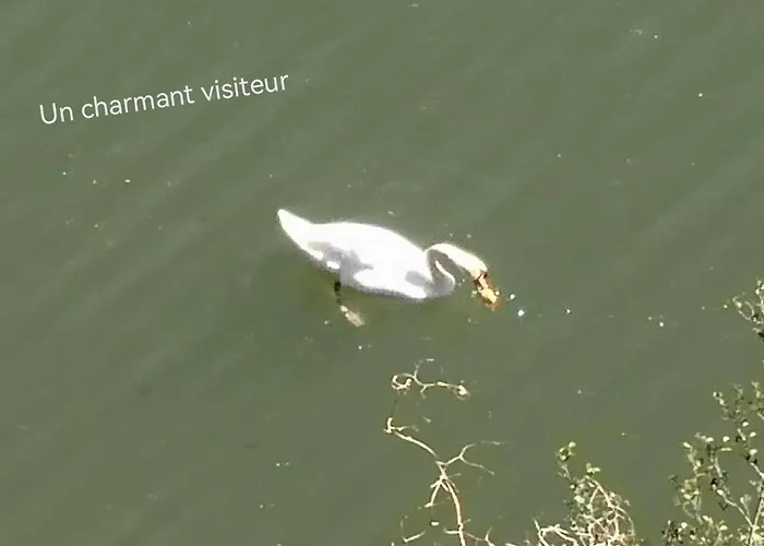 別荘 La Planque De L'eclusier Castelnau-de-Lévis